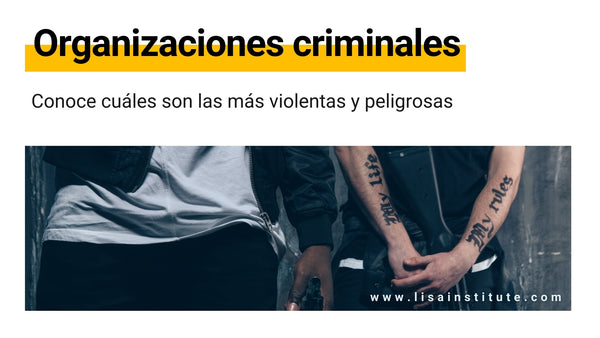 Conoce cuáles son las organizaciones criminales más violentas y peligrosas - LISA Institute