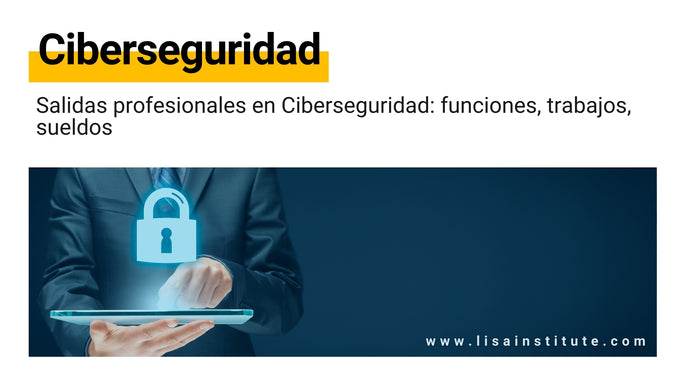 Salidas profesionales en Ciberseguridad: funciones, trabajos, sueldos