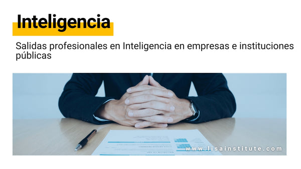 Salidas profesionales en Inteligencia en empresas e instituciones públicas