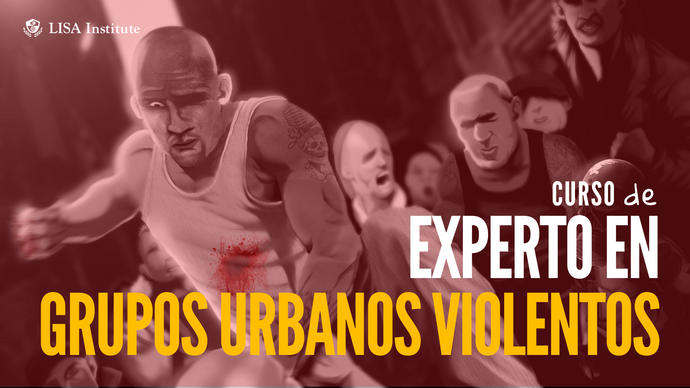 Curso de Experto en Grupos Urbanos Violentos